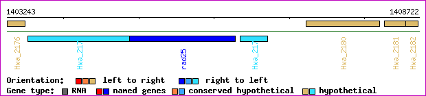 gene map