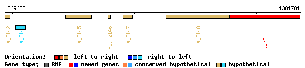 gene map