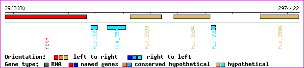 gene map