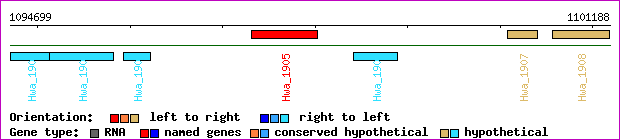 gene map