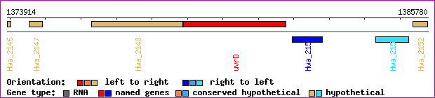 gene map