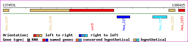 gene map