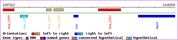 gene map
