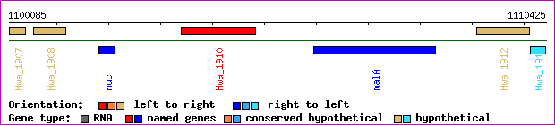 gene map