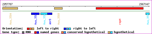 gene map