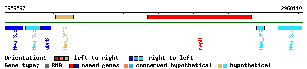 gene map