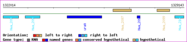 gene map
