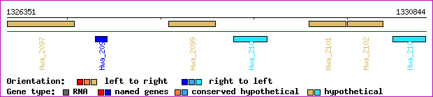gene map