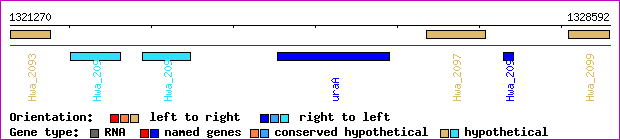 gene map