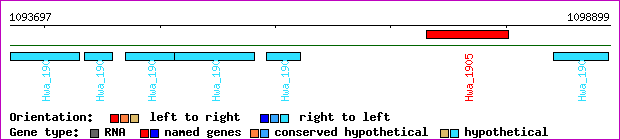 gene map