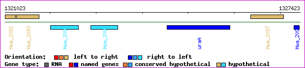 gene map