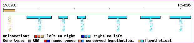 gene map