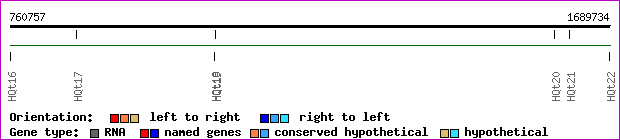 gene map
