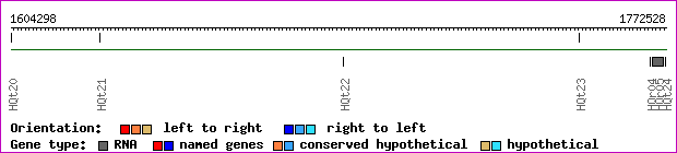 gene map