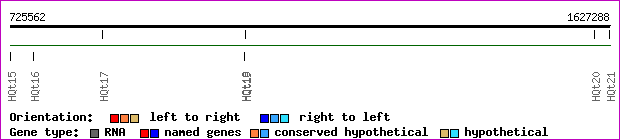 gene map
