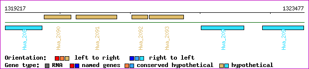 gene map