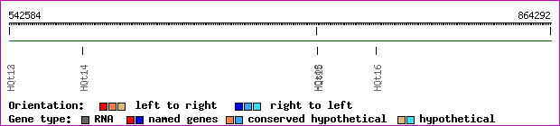 gene map