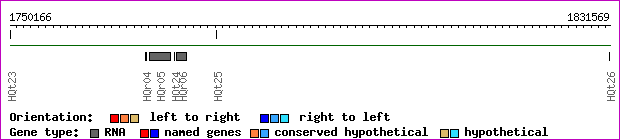 gene map
