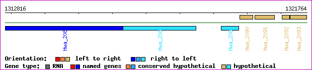 gene map