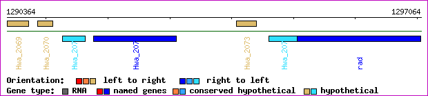 gene map