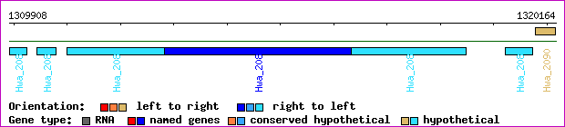 gene map