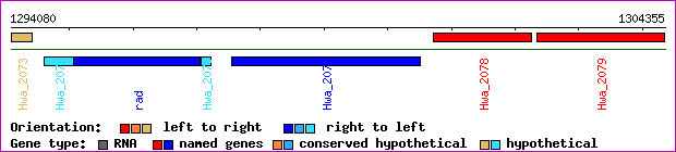 gene map