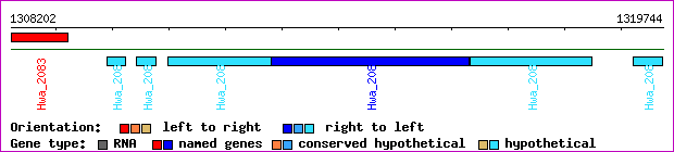 gene map