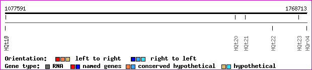 gene map