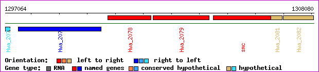 gene map