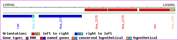 gene map