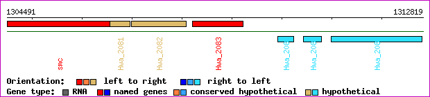 gene map