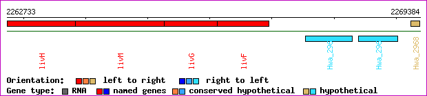 gene map