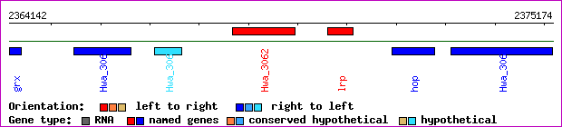 gene map