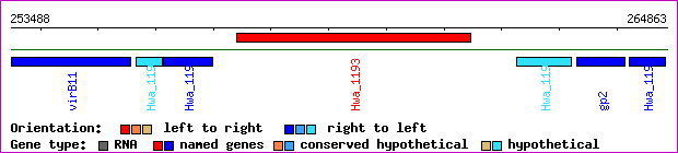 gene map
