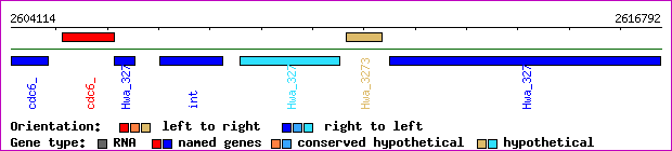 gene map