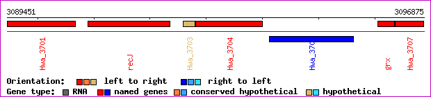 gene map