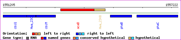 gene map