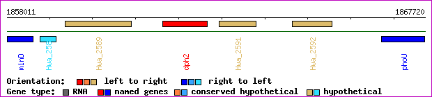 gene map