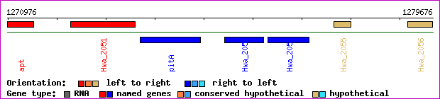 gene map
