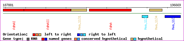 gene map
