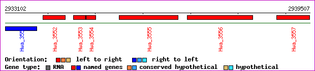 gene map