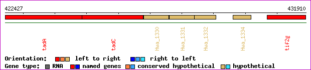 gene map
