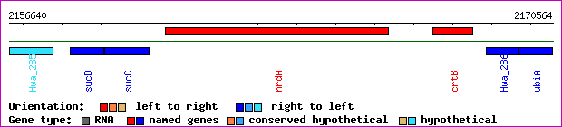 gene map
