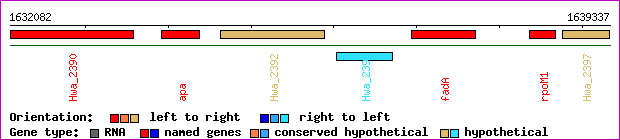 gene map