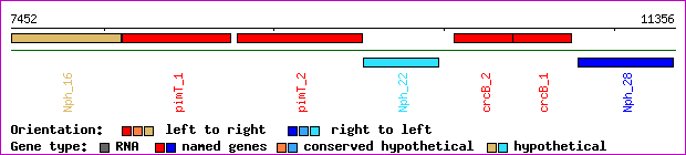 gene map