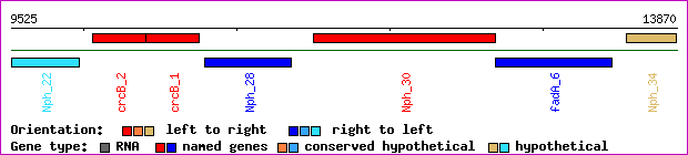 gene map