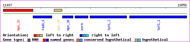 gene map
