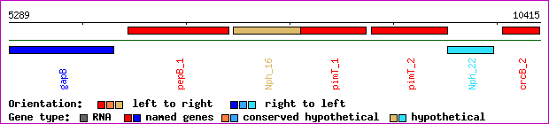 gene map