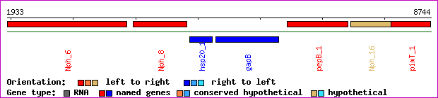 gene map
