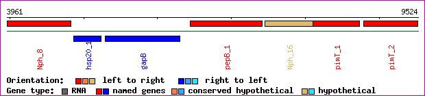 gene map